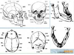 四個(gè)要點(diǎn)告訴你：在人像素描中需要表現(xiàn)哪些內(nèi)容？