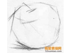 畫蘋果素描的注意事項(xiàng)及步驟詳解