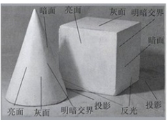 素描入門-素描明暗交界線怎樣看和怎樣畫？