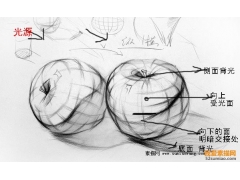 素描蘋果畫法解析步驟圖 以蘋果學素描