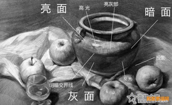 靜物素描明暗關(guān)系