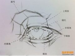 素描繪畫丨媚眼如絲