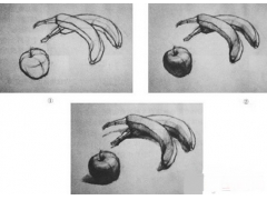 深度解析靜物素描寫(xiě)生要點(diǎn)